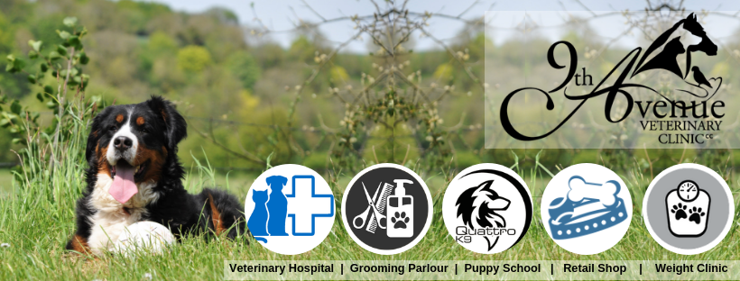 Veterinary Clinic Banner